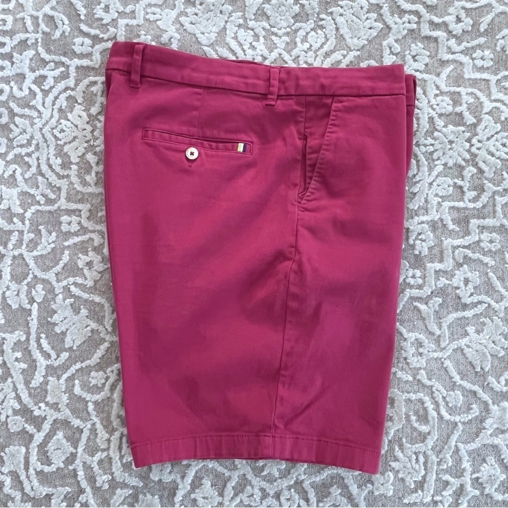 Robert Graham Belgrade 10” Twill Shorts